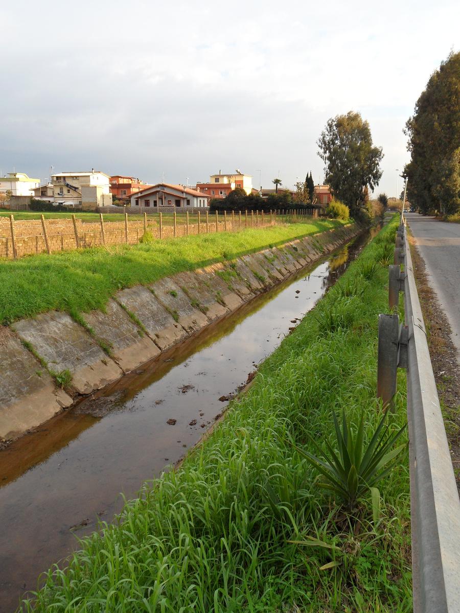 canale carlo albizzati